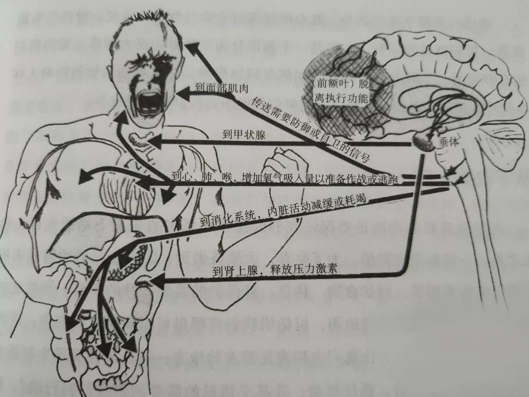 為什么“過去”難以真正過去！4種方式應對創(chuàng)傷
