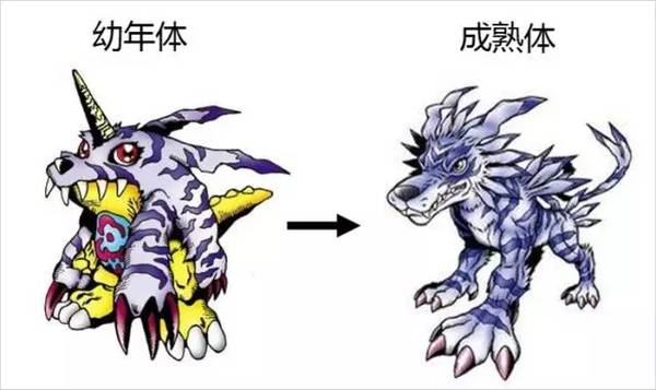 嘴上說要節(jié)制，身體卻誠實得很