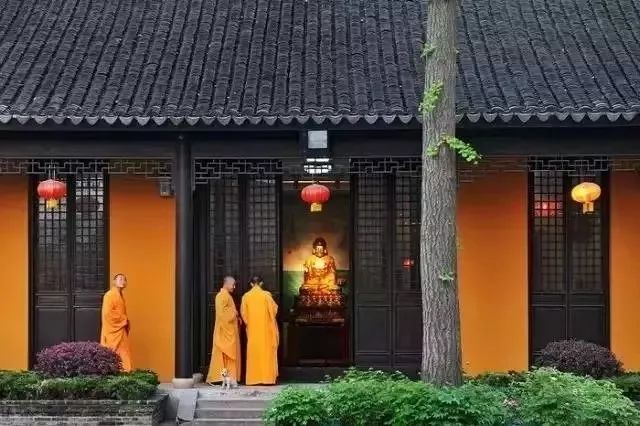 躲開咬人狗，遠離垃圾人！