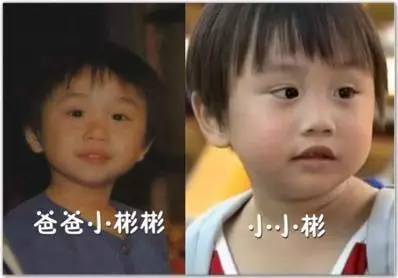 2歲出道，替父還800萬房貸：被父親寄生13年后，他還好嗎？