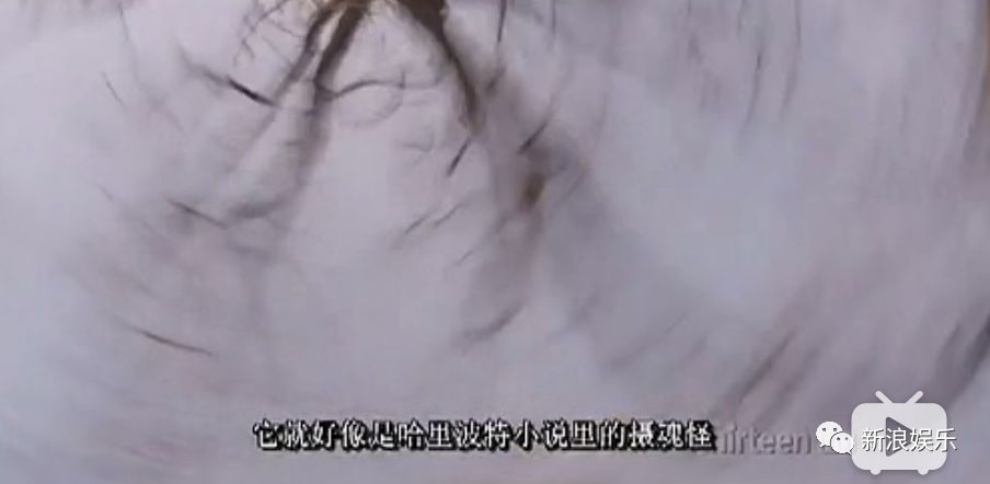 抑郁癥到底有多可怕？