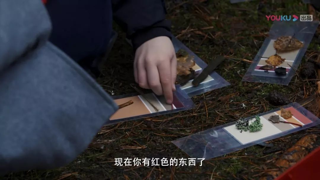 焦慮的父母，能不能找到完美的教育