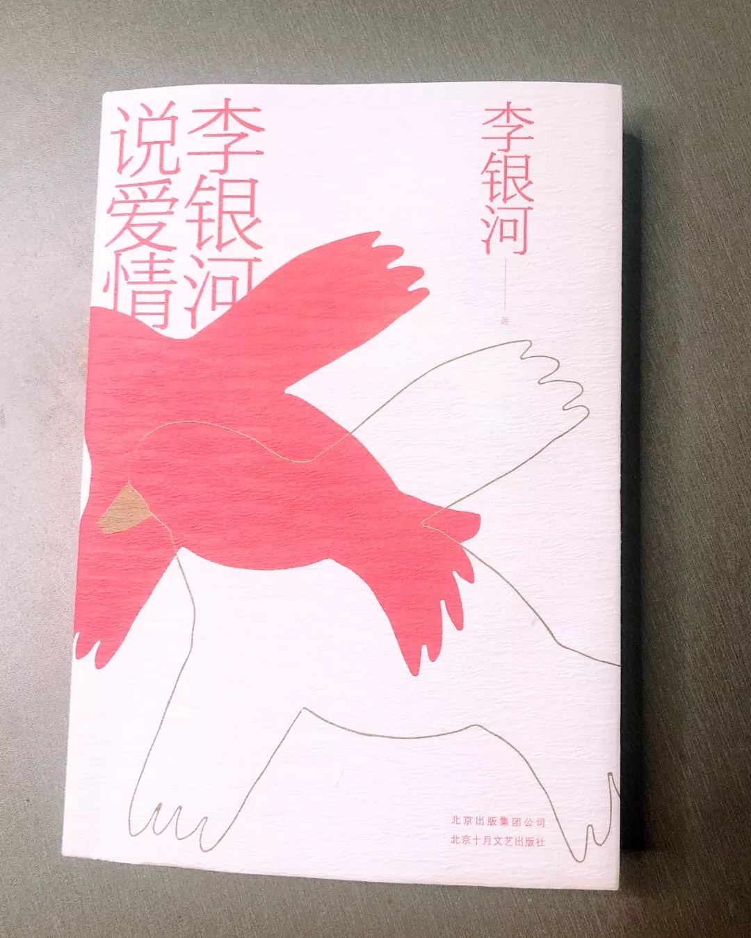 愛真的存在嗎？李銀河曾奇峰談婚姻家庭、愛與性