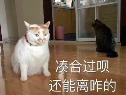 學心理學的，怎么一夜暴富？