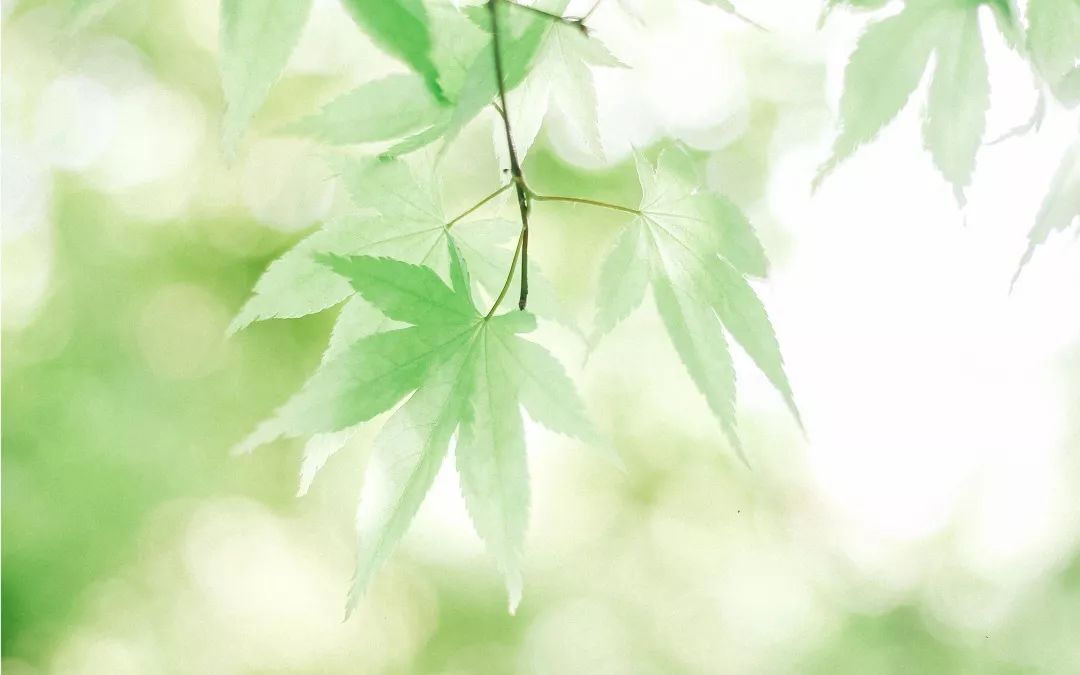 心理學(xué)效應(yīng)在生活中常有發(fā)生，它是什么效應(yīng)呢？