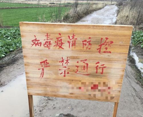 面對新型肺炎疫情，心理上如何找到好的快樂方式