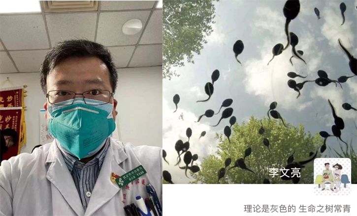 瞞報(bào)、病恥、污名化：什么才是疫情中的英雄主義？