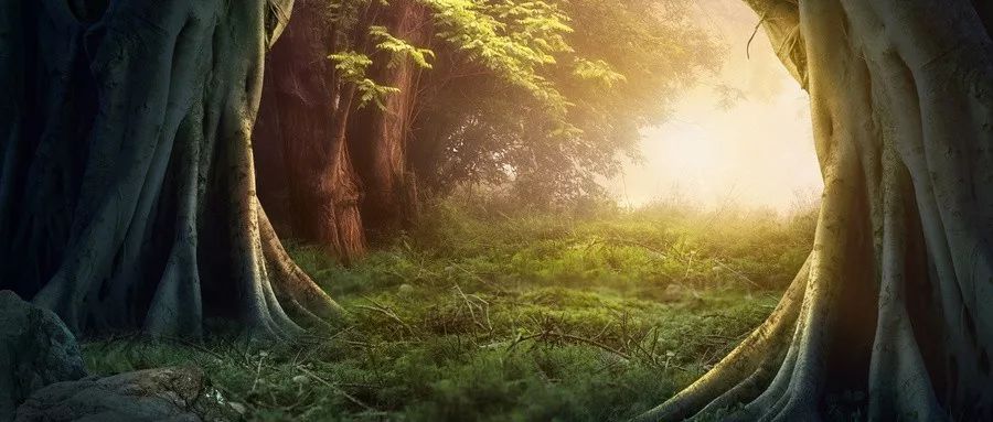 當(dāng)我們害怕死亡時(shí)，到底在怕什么？