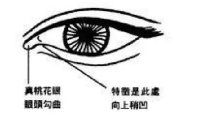 佟麗婭：摧毀婚姻的從來(lái)都不是出軌