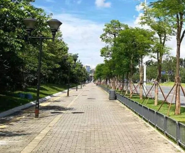 測(cè)誰才是你的依靠、心情不好時(shí)最想去哪里散步？