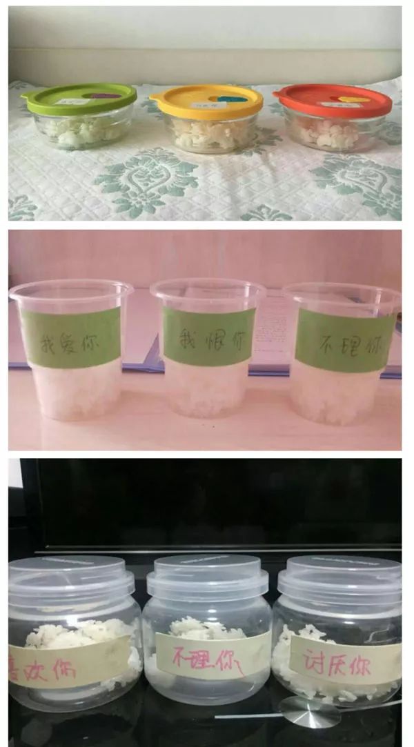 《水知道答案》意念的力量，花療師的米飯實(shí)驗(yàn)