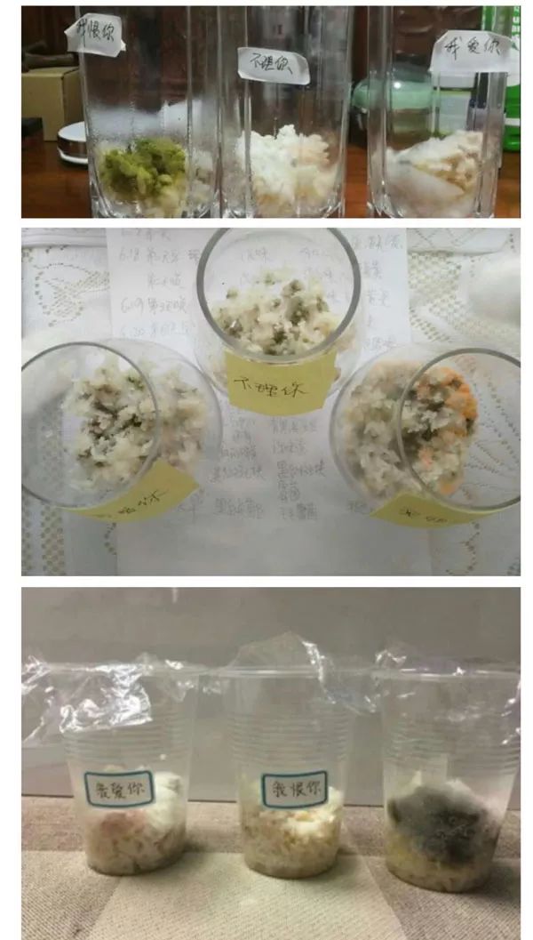 《水知道答案》意念的力量，花療師的米飯實(shí)驗(yàn)