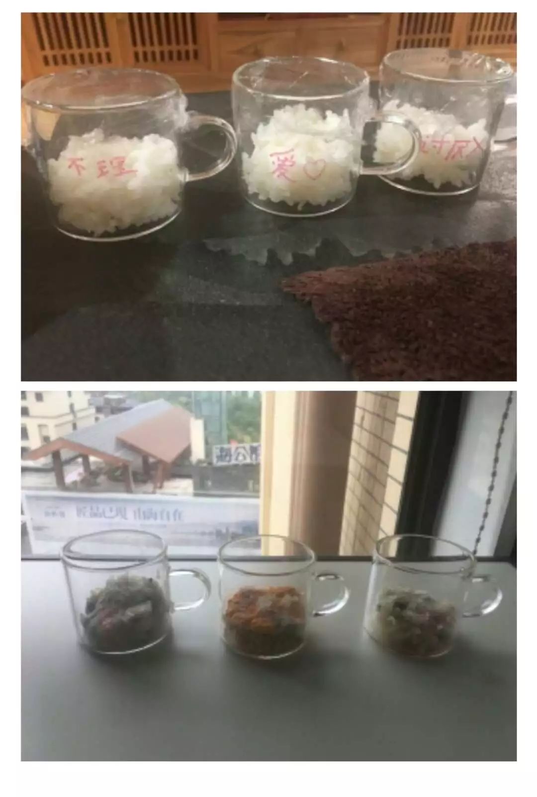 《水知道答案》意念的力量，花療師的米飯實(shí)驗(yàn)