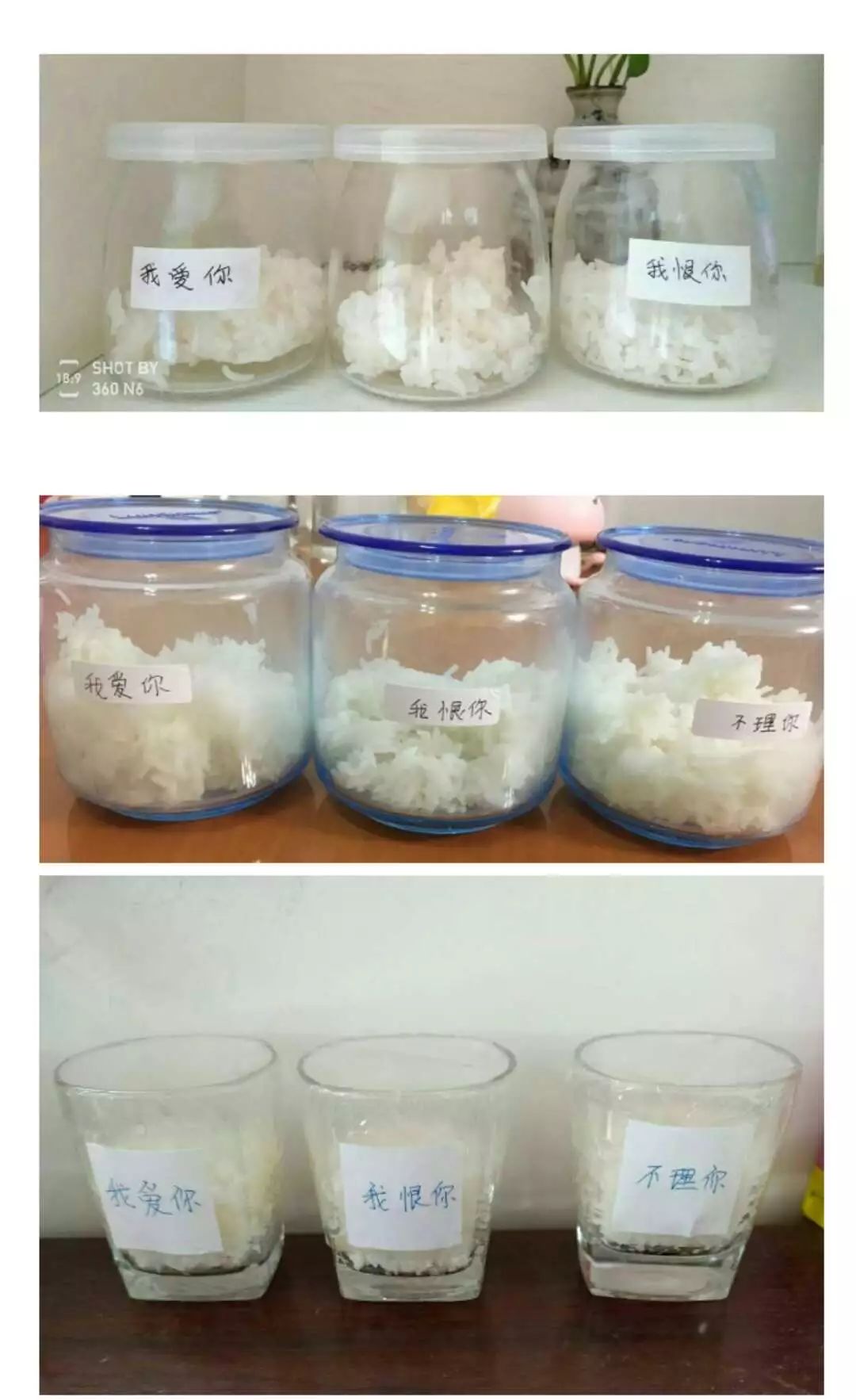 《水知道答案》意念的力量，花療師的米飯實(shí)驗(yàn)