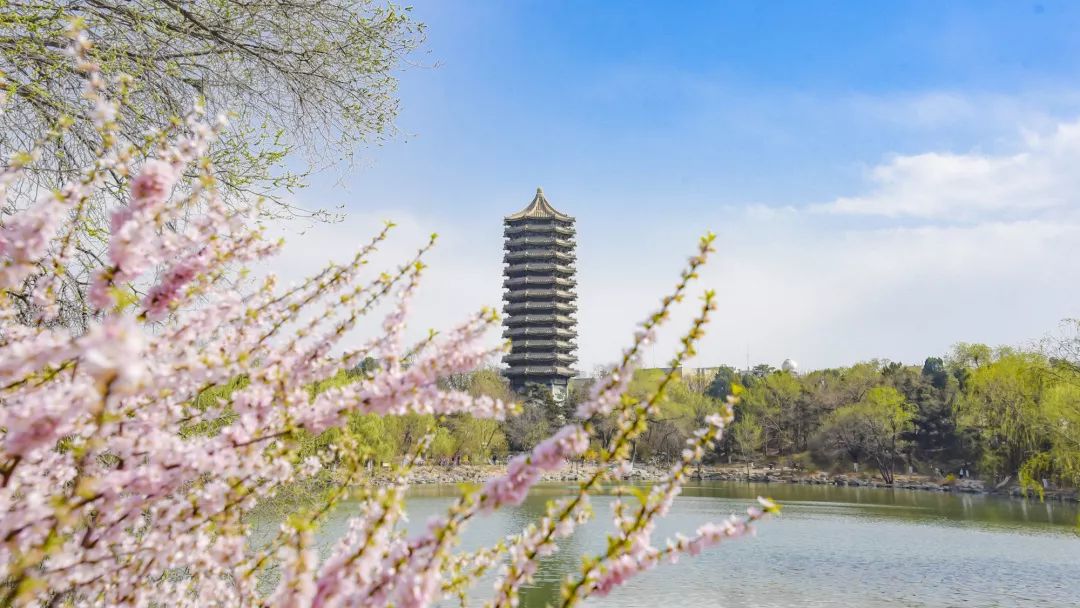 你真的做到大學(xué)新生的“自主性”了嗎？