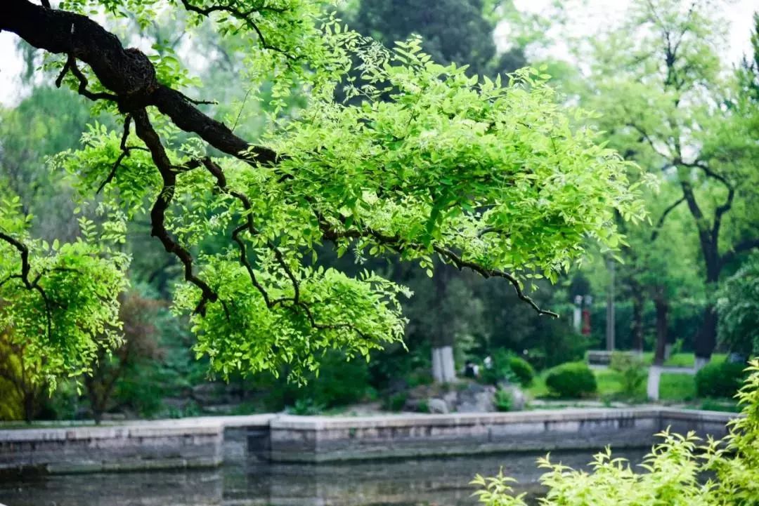 你真的做到大學(xué)新生的“自主性”了嗎？