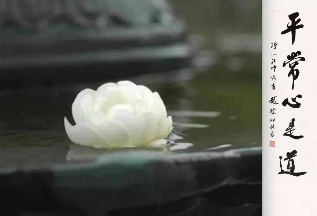 超人、平常心、抑郁癥-關于生命的意義