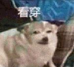 如何正確的找到男朋友？
