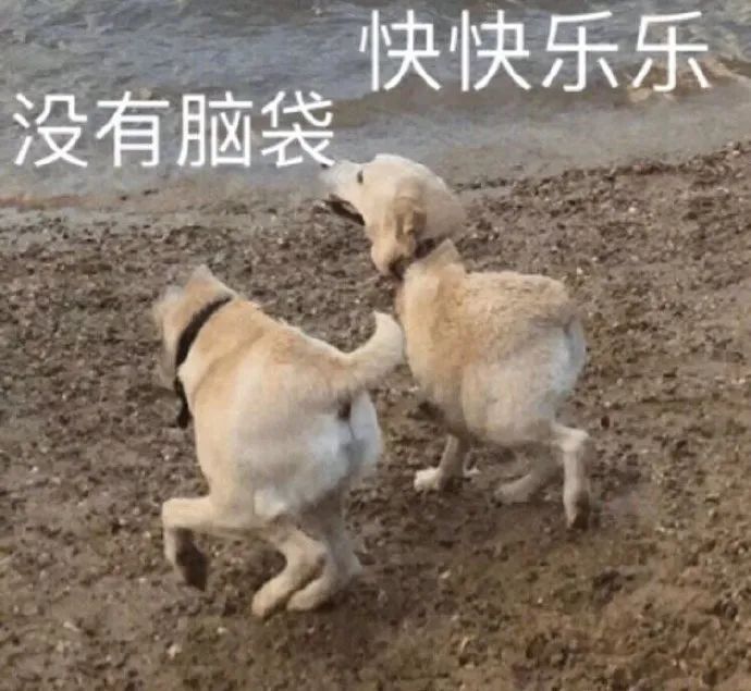 如何正確的找到男朋友？