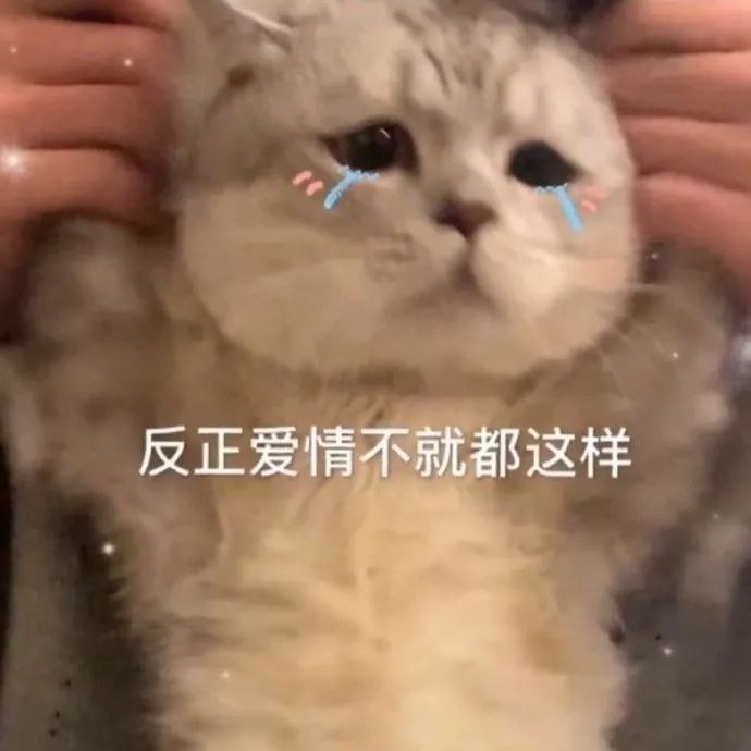 如何正確的找到男朋友？