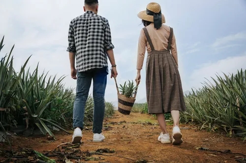 老公愛(ài)小三為什么不離婚?老公真心愛(ài)上小三怎么辦
