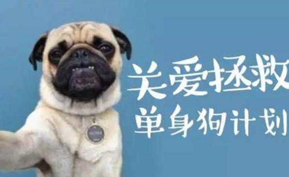 單身狗是怎么形成的