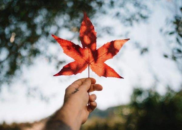 心理問題不可怕可怕的是對心理問題的恐懼