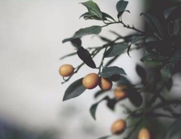 青春期焦慮癥怎么辦