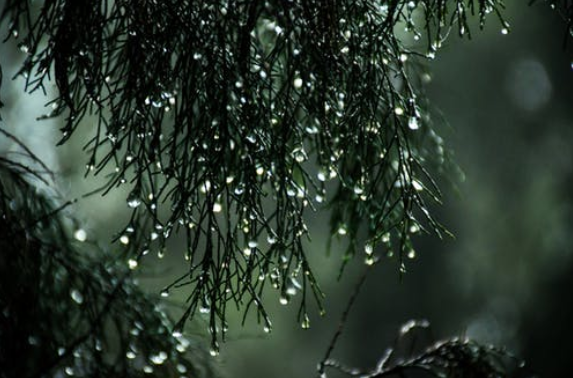 真正的自我否定鼓勵(lì)根本沒(méi)用