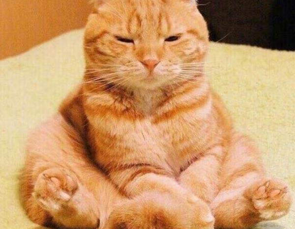 經常生氣對身體有哪些影響