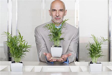 哪種植物象征你的職場生活