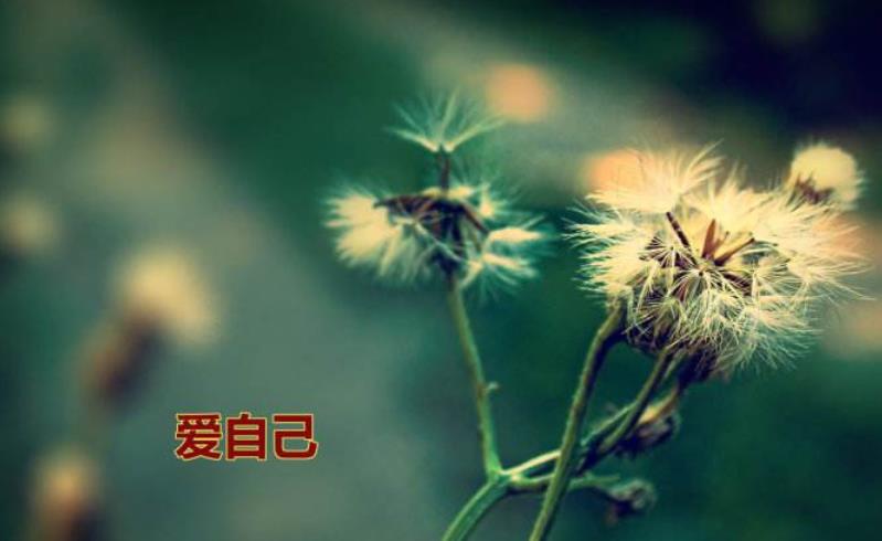 接受現(xiàn)在的自己就是愛(ài)自己