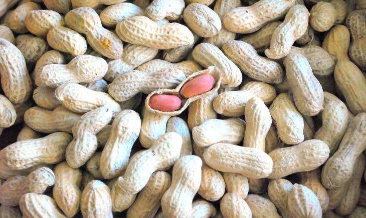 孩子最該吃的十種補腦食物