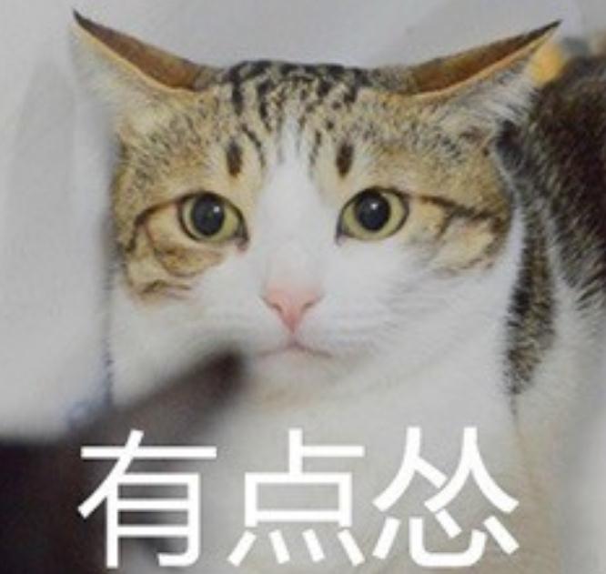 你是一個(gè)慫貨嗎？