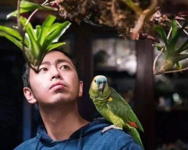 大男人喜歡養(yǎng)花到底是什么心態(tài)？