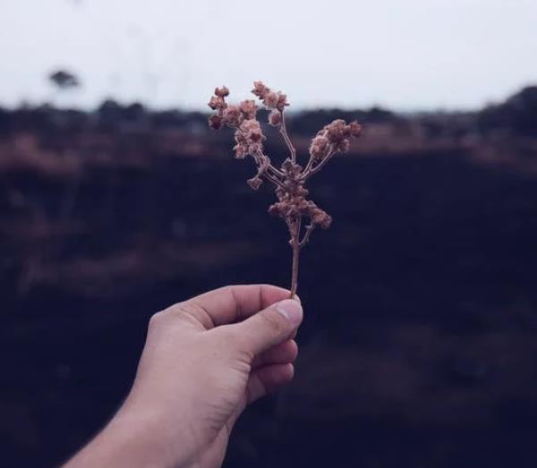 人應(yīng)該學會正視生死