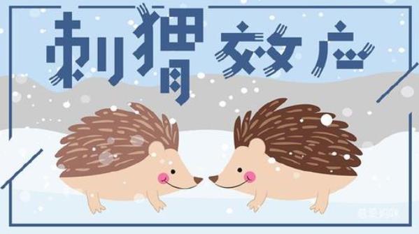 人際中刺猬效應(yīng)是什么意思？