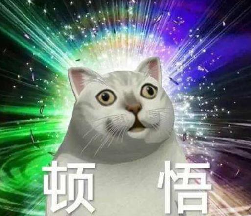 紅茶女生是什么梗？