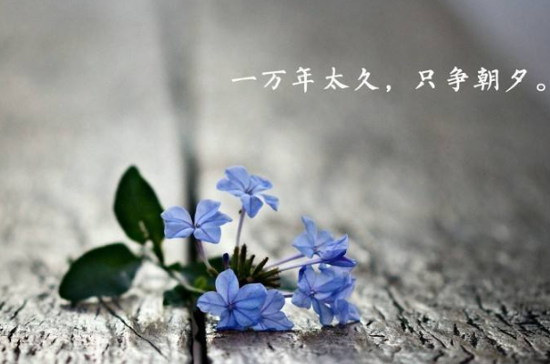 有些話永遠不要在朋友圈里說