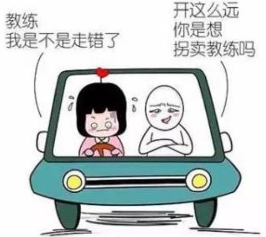 當(dāng)代駕校教練有多難？