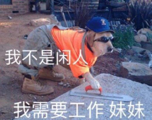 不同年齡段的打工人，你屬于哪個年齡段的？
