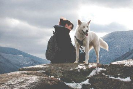 測(cè)你容易招惹壞人嗎