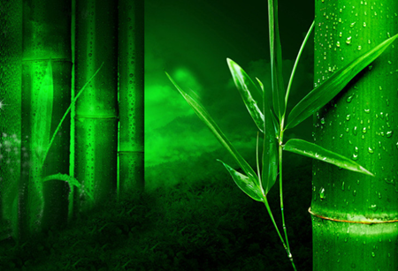 什么植物能給你帶來幸運