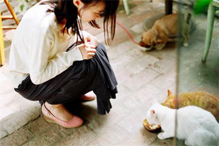 測(cè)試你的愛(ài)情有緣人