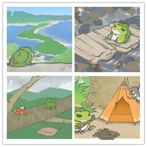 青蛙旅行，來測測你適合養(yǎng)什么類型的寵物？