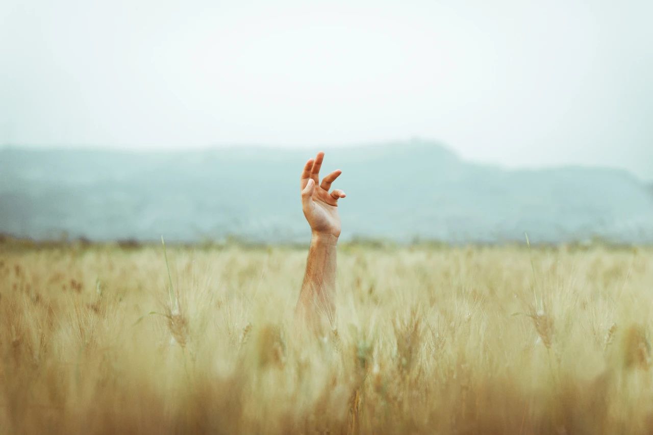 唯有悲傷，才能治愈悲傷
