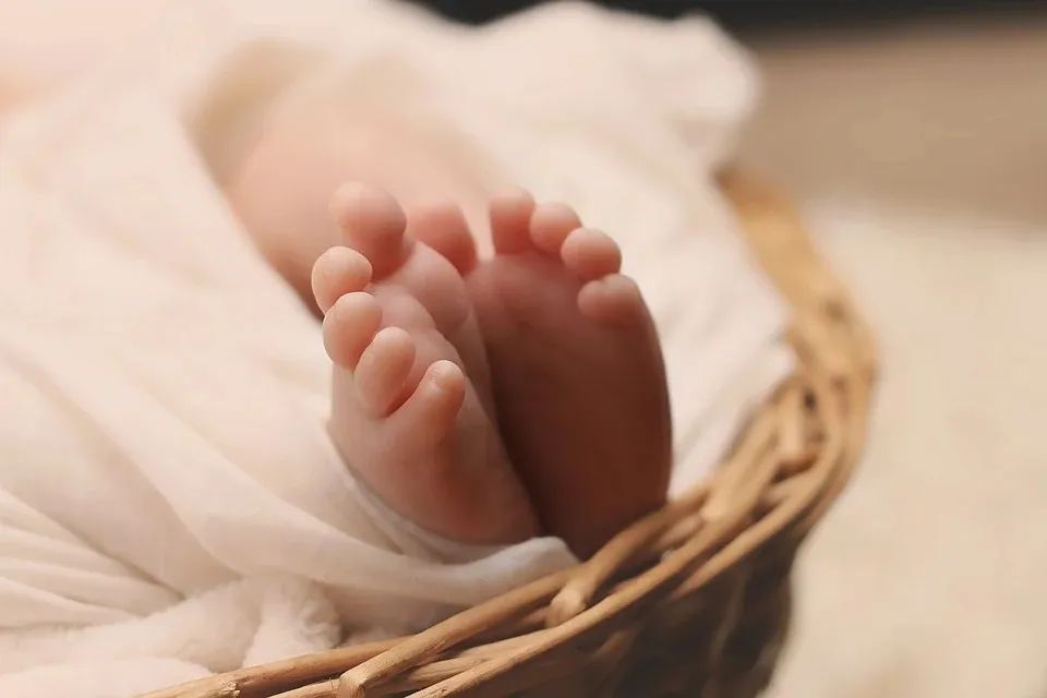 永遠不該忽視的話題：和孩子談性