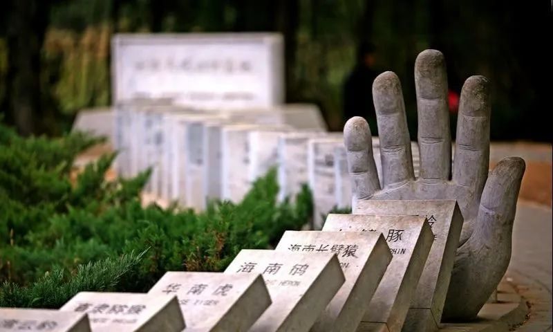 老鼠烏托邦--驚人的實驗，令人沉默的沉思