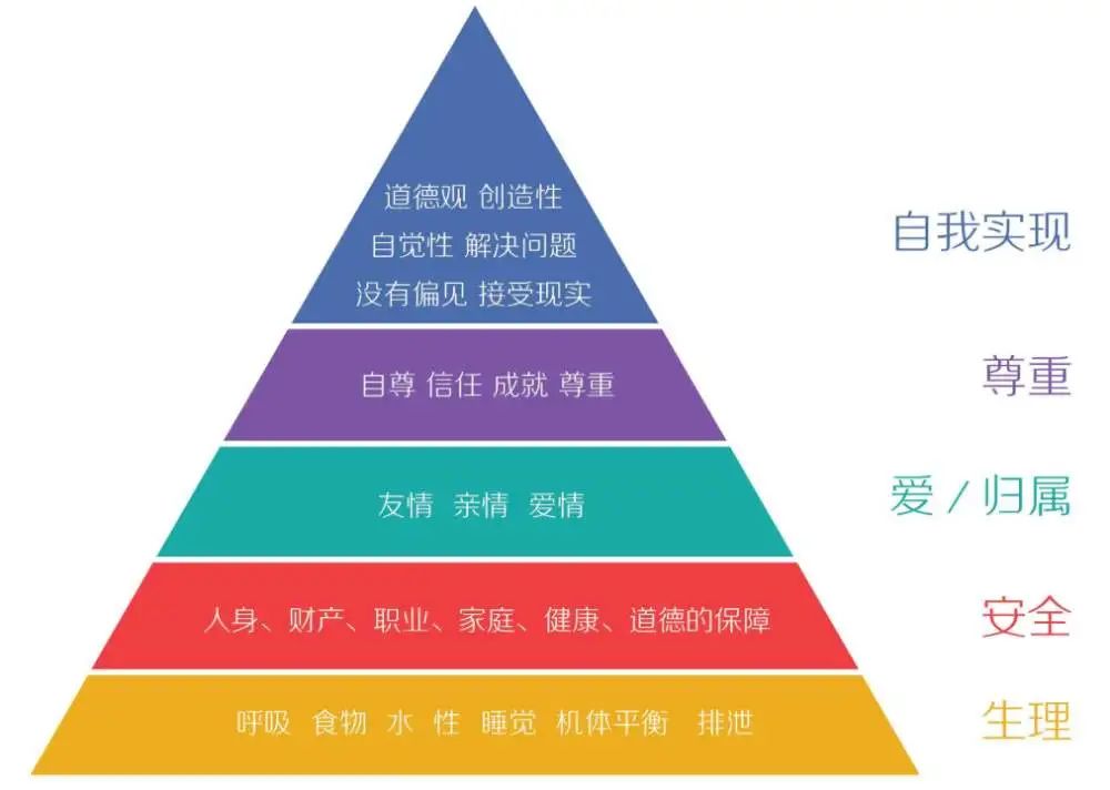 老鼠烏托邦--驚人的實驗，令人沉默的沉思