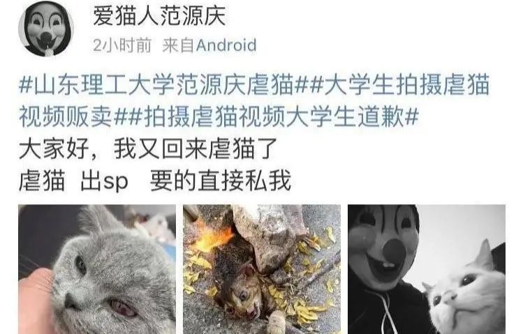 犯罪心理分析：弒母少年為何會走上犯罪之路？